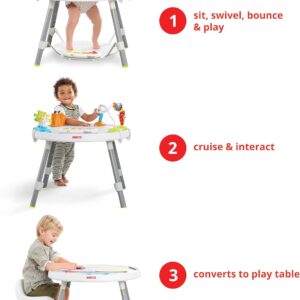 elmmart Skip Hop Baby Activity Center: Interactive Play Center with 3-Stage Grow-with-Me Functionality, 4mo+, Explore & More