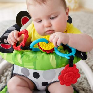 Elm mart Fisher-Price Portable Baby Chair Sit-Me-Up Floor Seat with Developmental Toys and Crinkle & Squeaker Seat Pad, Panda Paws