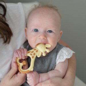 Elm Mart Dr. Brown's Ridgees Giraffe, Massaging Baby Teether, Designed by a Pediatric Dentist, BPA Free,3m+