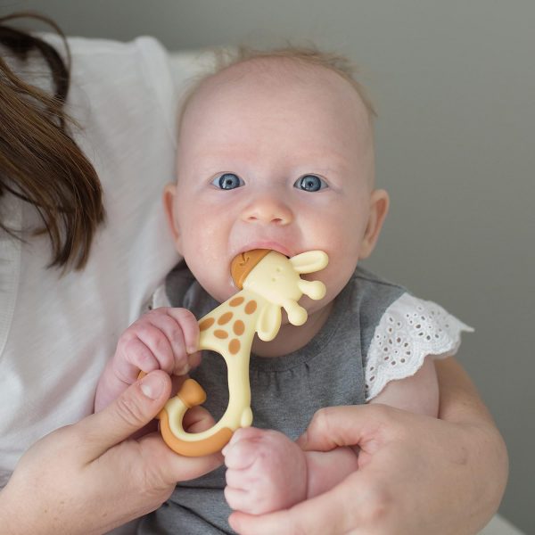 Elm Mart Dr. Brown's Ridgees Giraffe, Massaging Baby Teether, Designed by a Pediatric Dentist, BPA Free,3m+