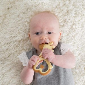 Elm Mart Dr. Brown's Ridgees Giraffe, Massaging Baby Teether, Designed by a Pediatric Dentist, BPA Free,3m+