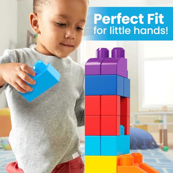 Elm Mart Mega Bloks First Builders Toddler Blocks Toys Set, Big Building Bag with 80 Pieces and Storage, Blue, Ages 1+ Years