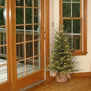 Elmmart National Tree Company Pre-Lit 'Feel Real' Artificial Mini Christmas Tree, Green, Nordic Spruce, White Lights, Includes Burlap Bag Base, 3 Feet