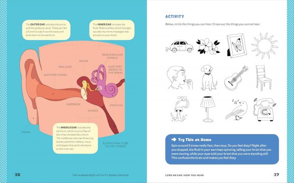 Elm Mart Human Body Activity Book for Kids: Hands-On Fun for Grades K-3