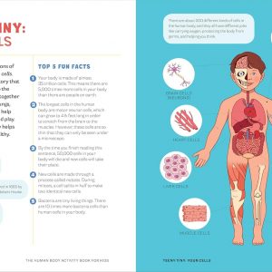 Elm Mart Human Body Activity Book for Kids: Hands-On Fun for Grades K-3