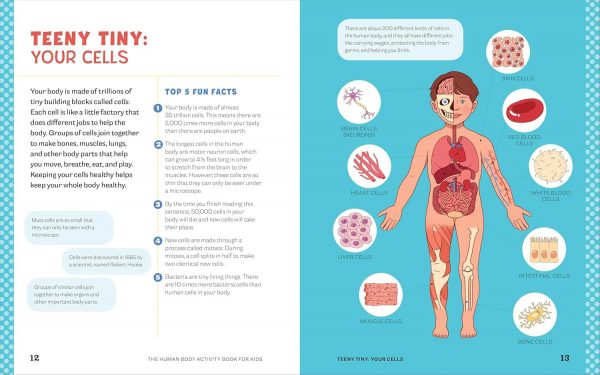 Elm Mart Human Body Activity Book for Kids: Hands-On Fun for Grades K-3