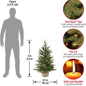 Elmmart National Tree Company Pre-Lit 'Feel Real' Artificial Mini Christmas Tree, Green, Nordic Spruce, White Lights, Includes Burlap Bag Base, 3 Feet