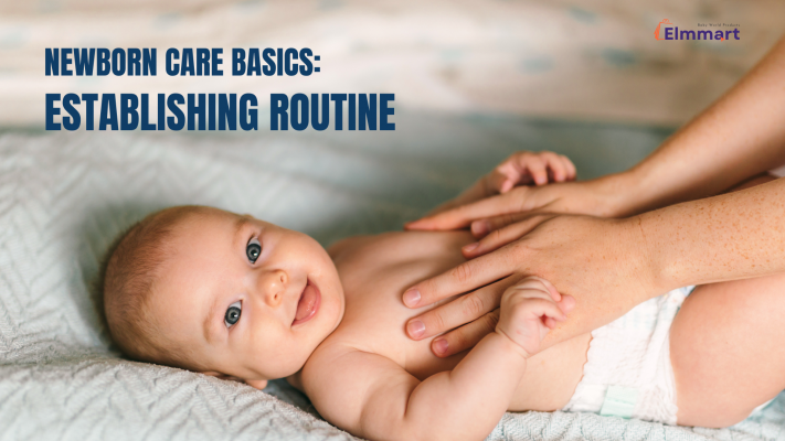 Elmmart newborn care basics establishing routine