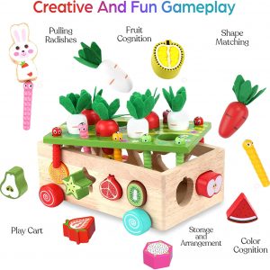 Elmmart Toddlers Montessori Wooden Educational Toys for Baby Boys Girls Age 1 2 3 Year Old, Shape Sorting Toys 1st One First Birthday Girl Gifts for Kids 1-3, Wood Preschool Learning Fine Motor Skills Game