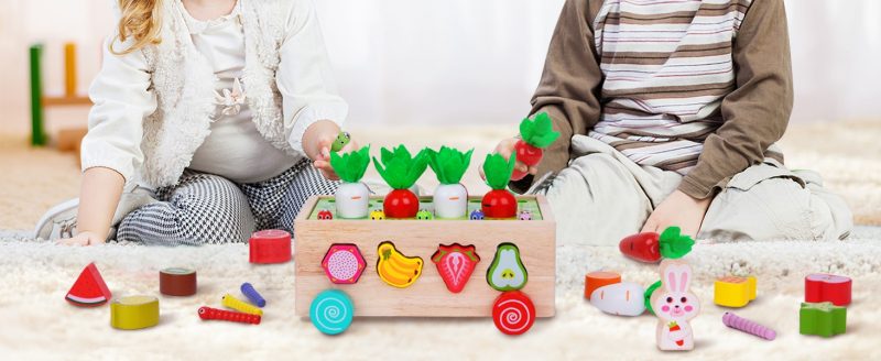 Elmmart Toddlers Montessori Wooden Educational Toys for Baby Boys Girls Age 1 2 3 Year Old, Shape Sorting Toys 1st One First Birthday Girl Gifts for Kids 1-3, Wood Preschool Learning Fine Motor Skills Game