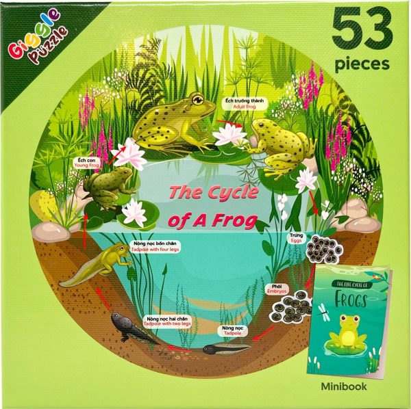 elm mart Giggle Puzzle - Tranh xếp hình The cycle of life 53 mảnh, 25cm