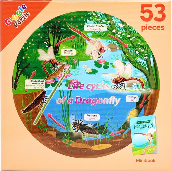 elm mart Giggle Puzzle - Tranh xếp hình The cycle of life 53 mảnh, 25cm